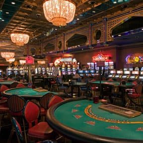 The Dog House live-casino interface on koki togel showing bet slip and live feed